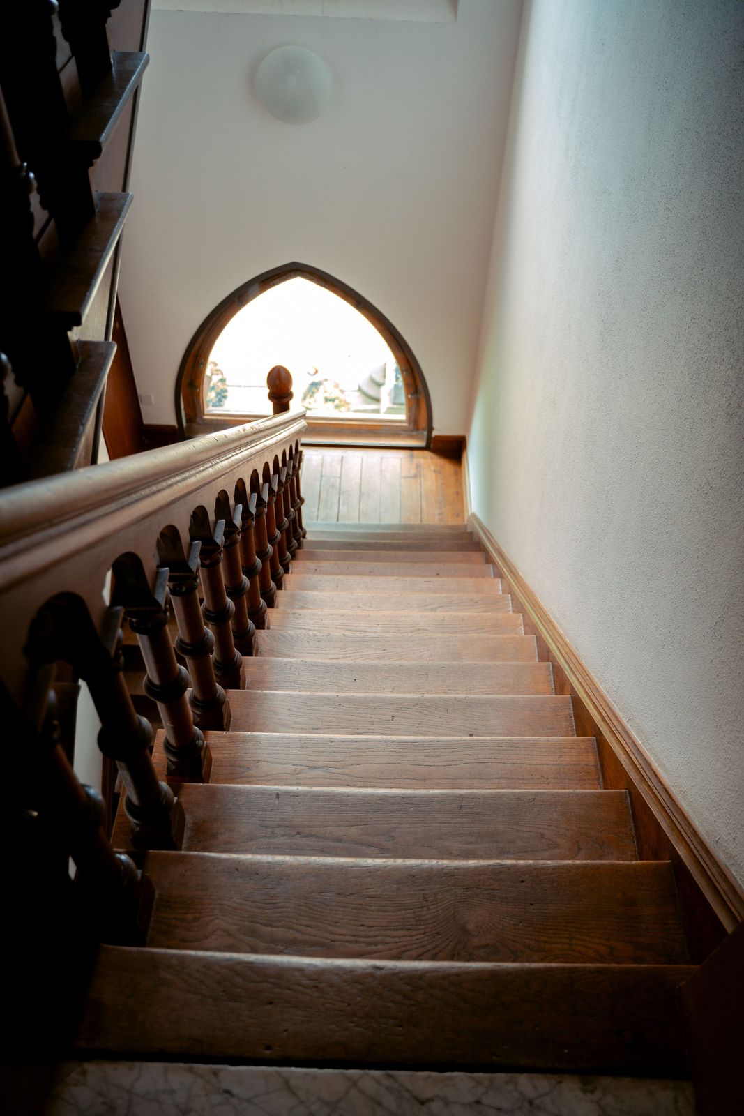 Wooden stairs with a handrail and natural light